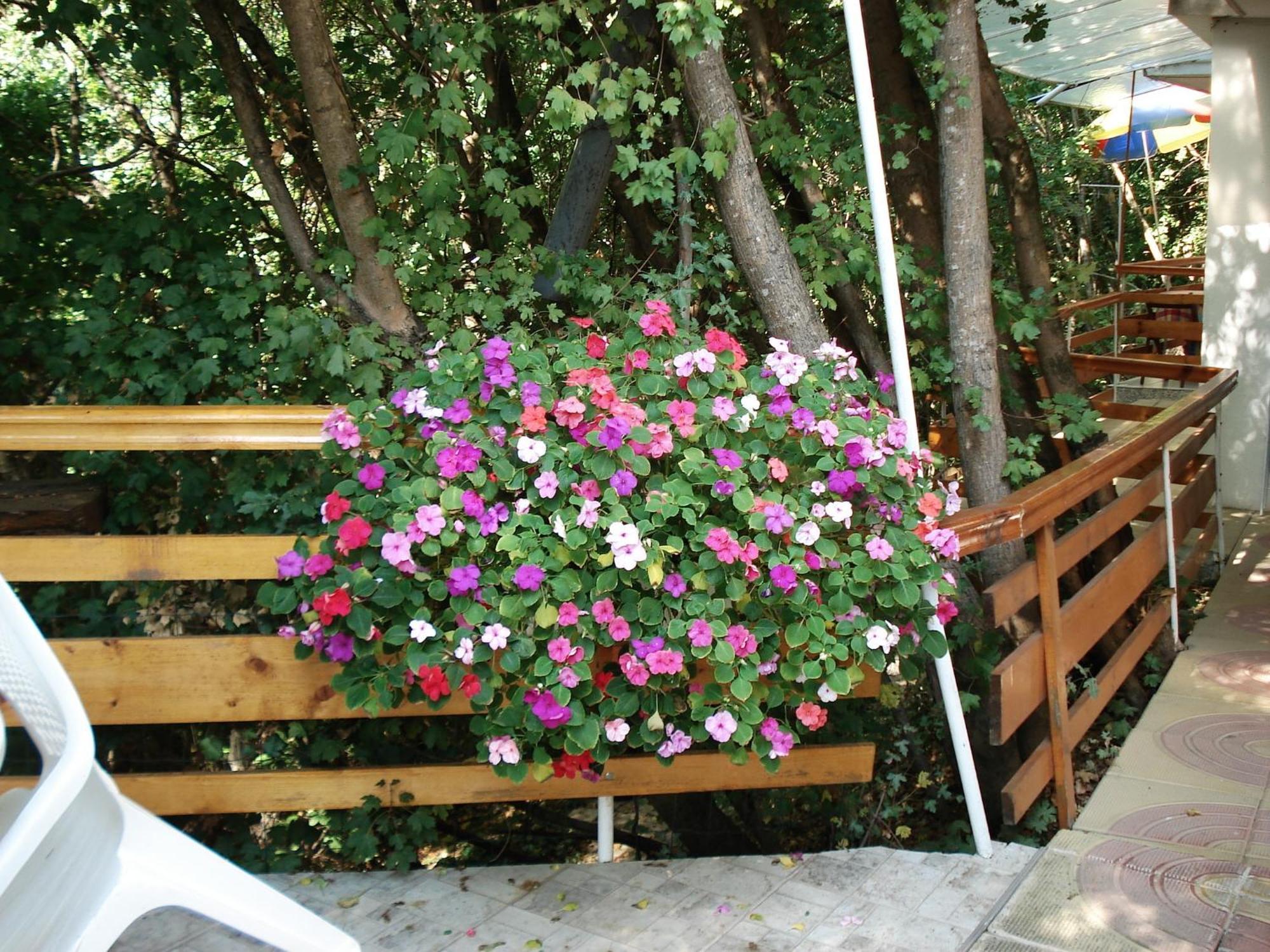 Villa Exotica Balchik Exterior photo